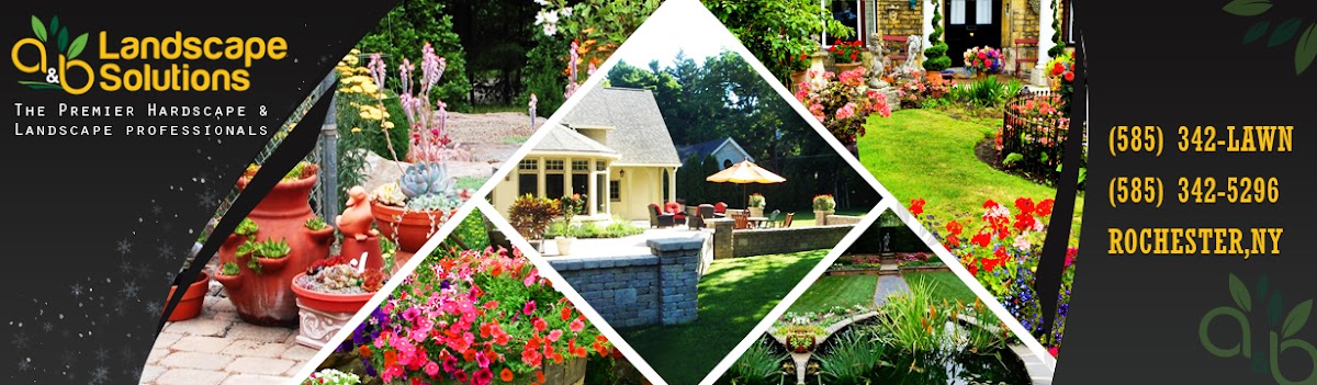 Landscape Solutions Contractor in Rochester, NY photo