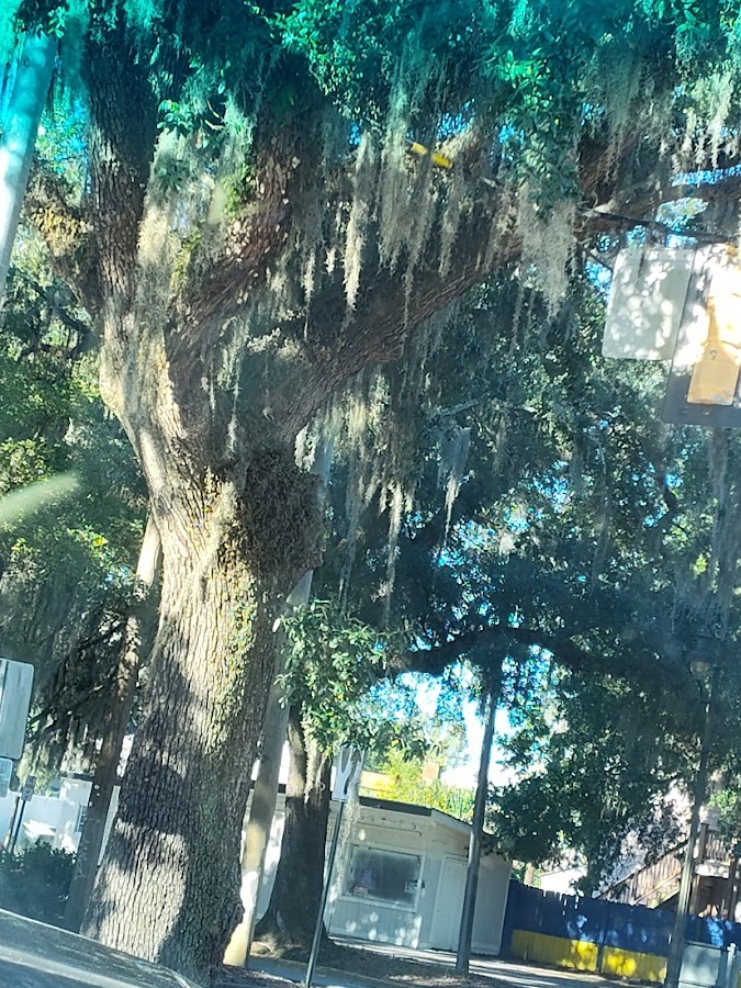 Climatech Air, Inc Plumber in Savannah, GA photo