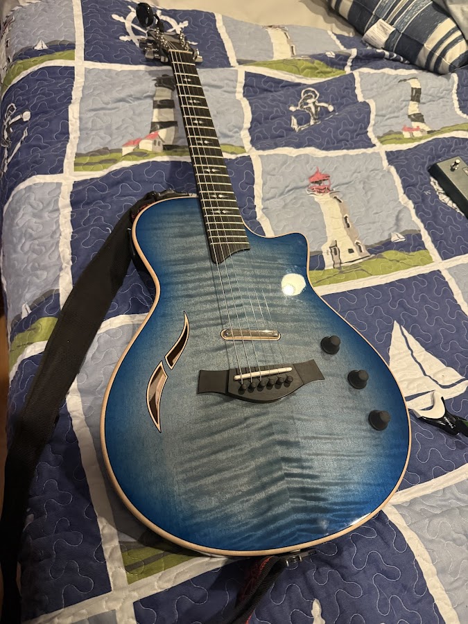 Steve Carmody Guitar Repair local service