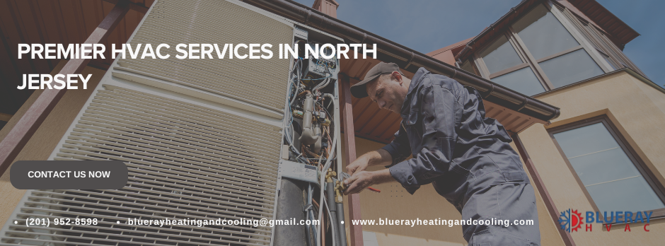 Blueray Heating and Cooling Plumber in Clifton, NJ photo