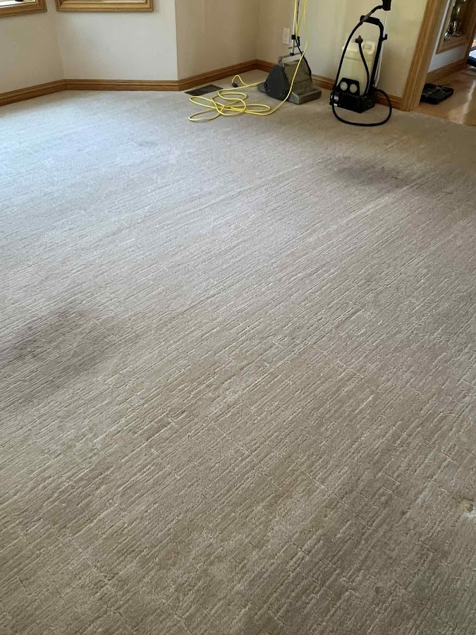 Crazy Clean Carpet Cleaning And Restoration Janitorial Service in Post Falls, ID photo