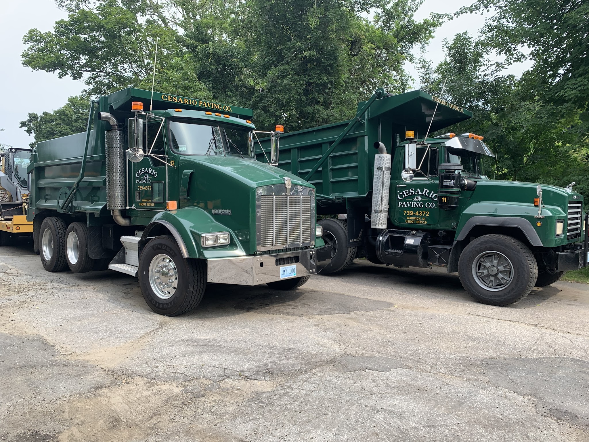Cesario Paving Co. LLC local service