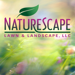 Naturescape Lawn & Landscape, LLC Contractor in Salina, KS photo