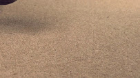 Gallery photo for SERVPRO of Moorhead, local service in Moorhead, MN