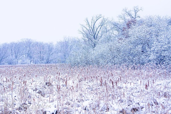 Gallery photo for Emergency Disaster Recovery INC ᵀᴹ in Hartland, WI