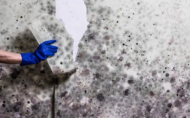 Gallery photo for Healthy Air Duct Cleaning & Mold Remediation in Houma, LA