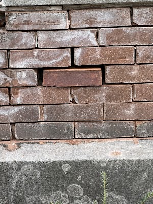 Gallery photo for Capital Masonry Restoration in St Paul, MN