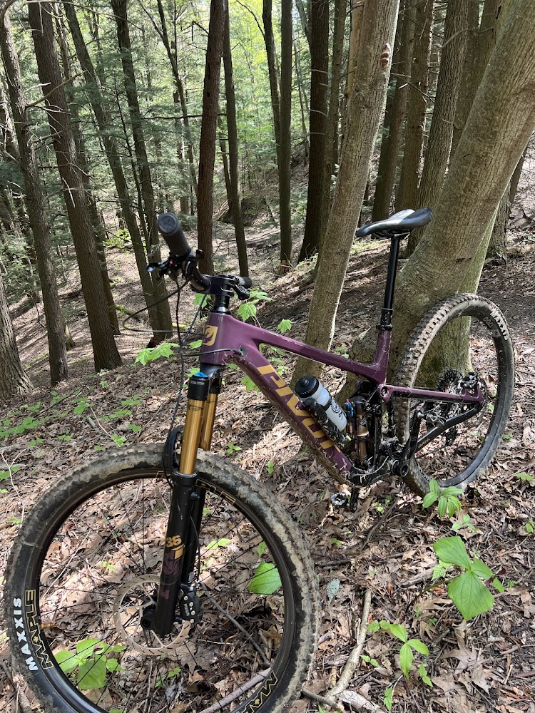 Gallery photo for Mountain Trail Paddle Board and Bikes in Colchester, VT