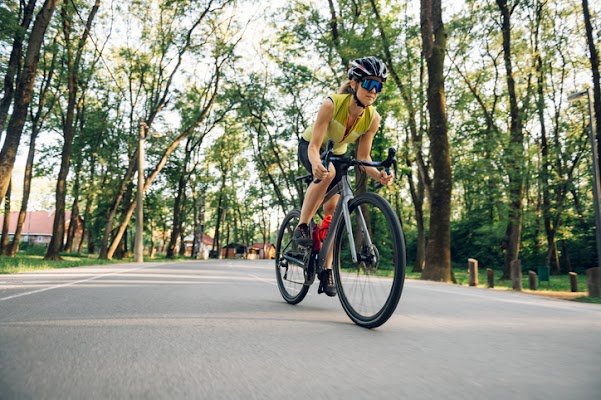 Gallery photo for Earl's Cyclery & Fitness in South Burlington, VT