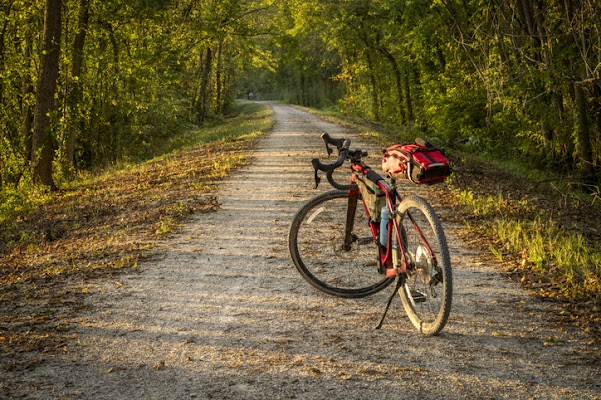 Gallery photo for Earl's Cyclery & Fitness in South Burlington, VT
