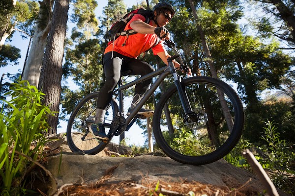 Gallery photo for Earl's Cyclery & Fitness in South Burlington, VT