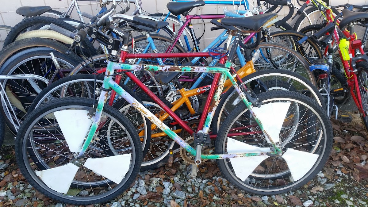 Little City Cycles local service