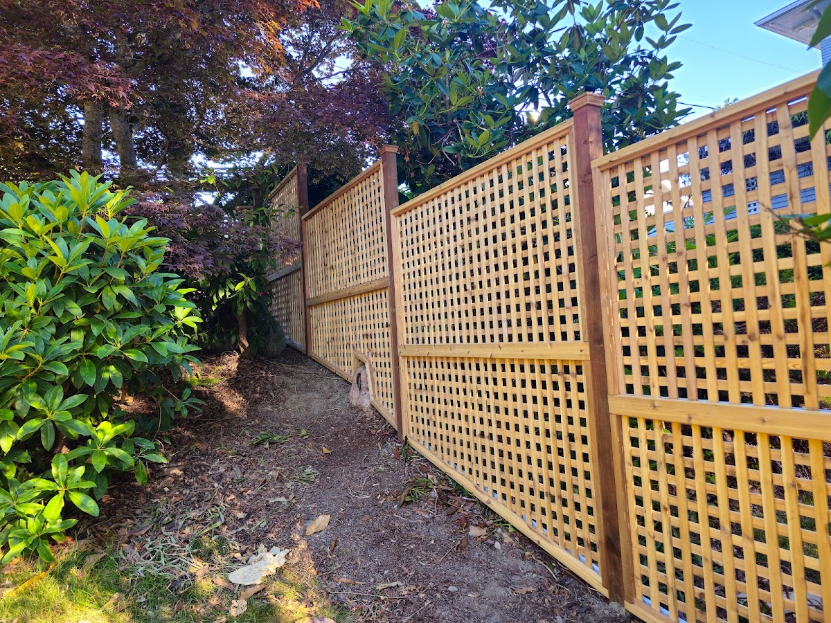 Magenta Home Services Contractor in Lakewood, WA photo