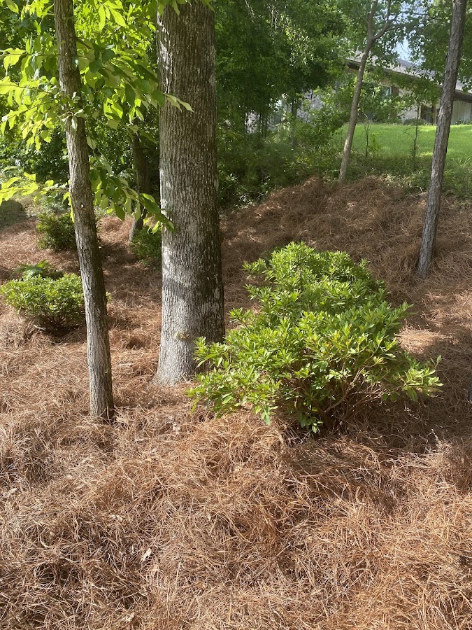 AlaTex Landscaping & Irrigation Plumber in Northport, AL photo