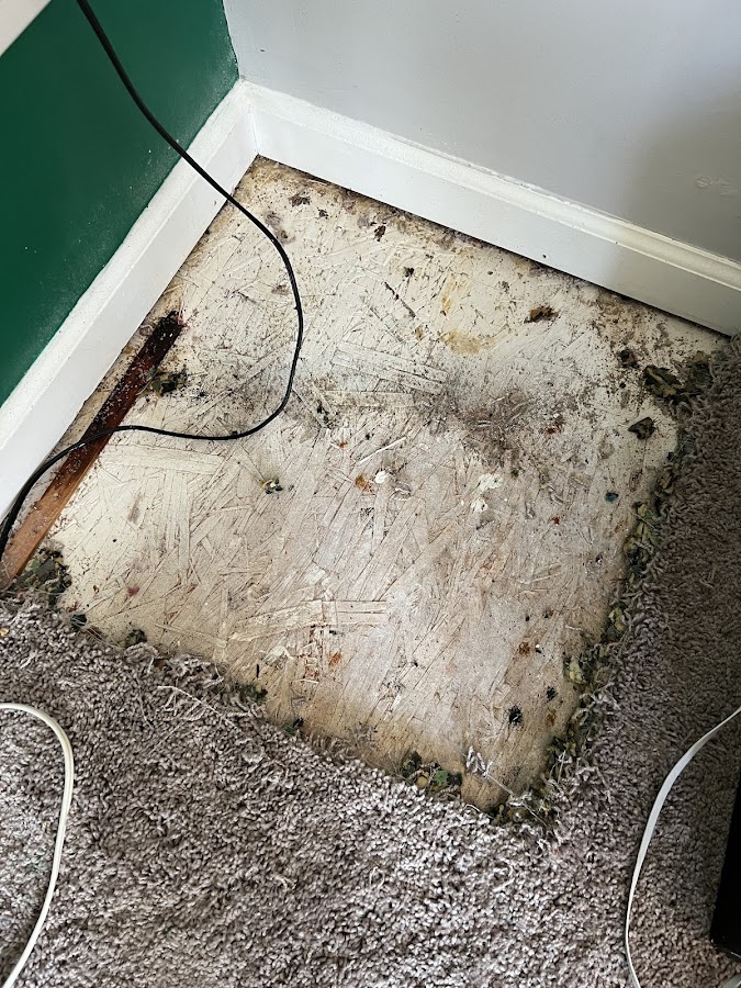 Indianapolis Carpet Repair Contractor in Indianapolis, IN photo
