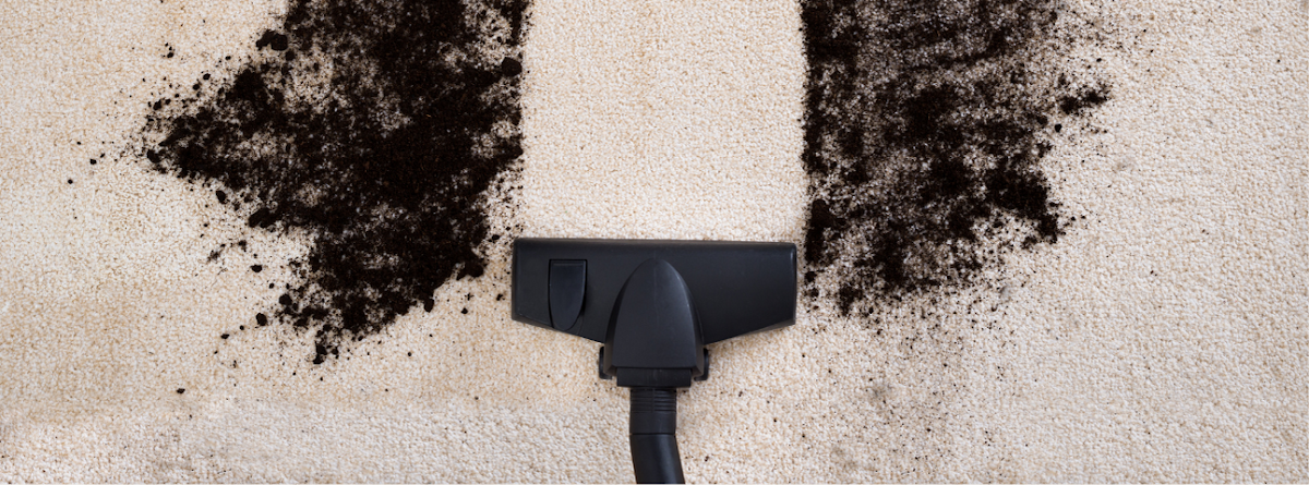 New Day Carpet Cleaners Janitorial Service in Carson, CA photo