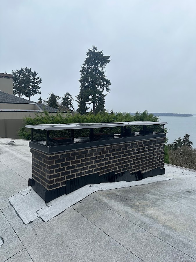 Professional Chimney Solutions Inc. Plumber in Tacoma, WA photo