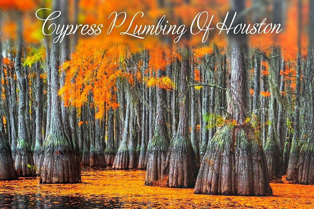 Cypress Plumbing Service Plumber in Spring, TX photo