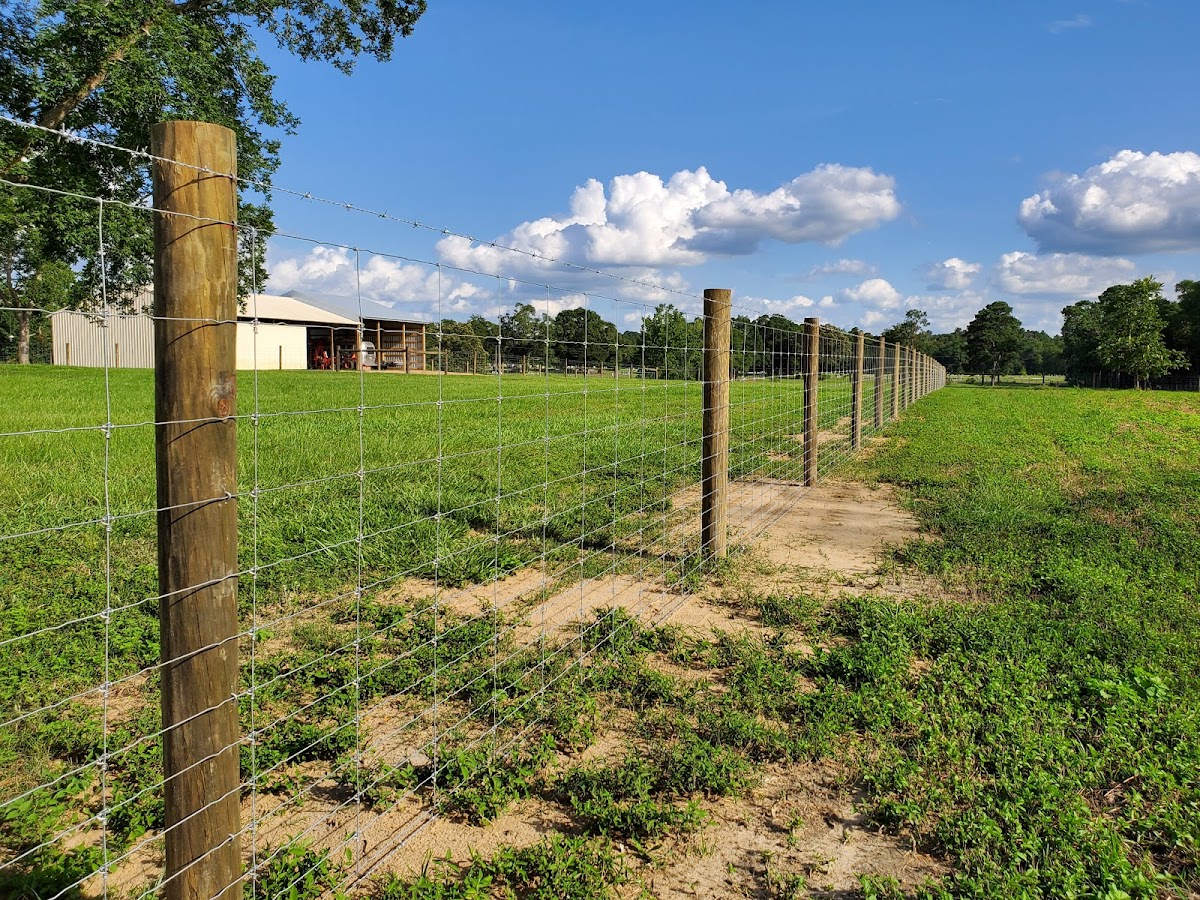Schneider Farm Fence Contractor in Walnut Hill, FL photo