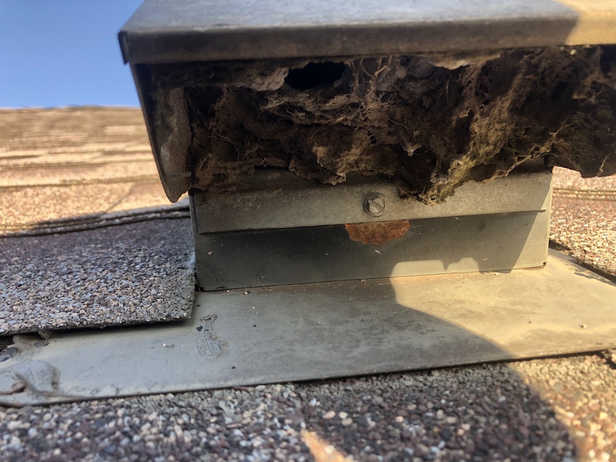 All Star Dryer Vent
