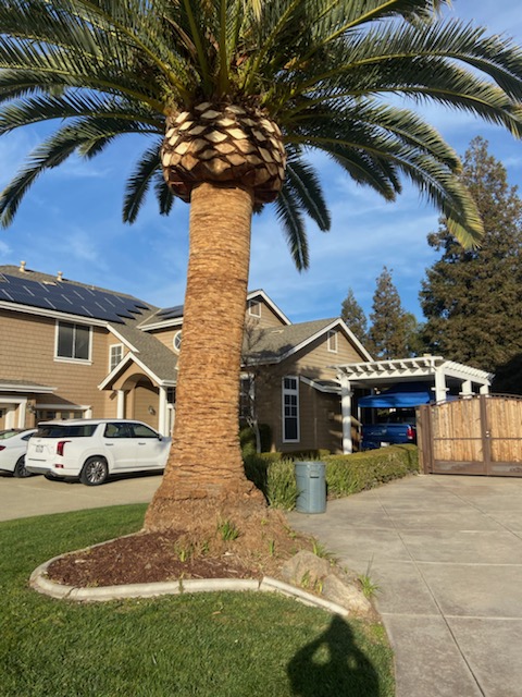 John's Good Landscaping Services Plumber in Oakland, CA photo