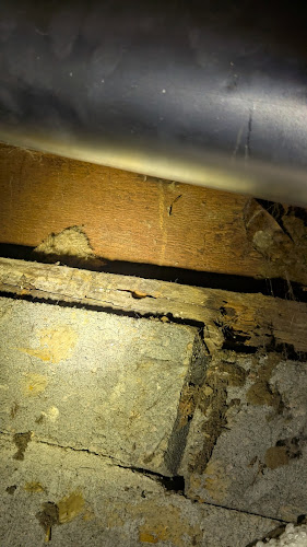 Genie Pest Control Pest Control Service in Council Bluffs, IA photo