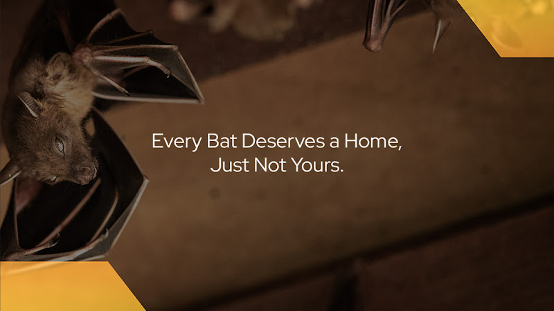 CP Bat Mitigation Pest Control Service in Omaha, NE photo