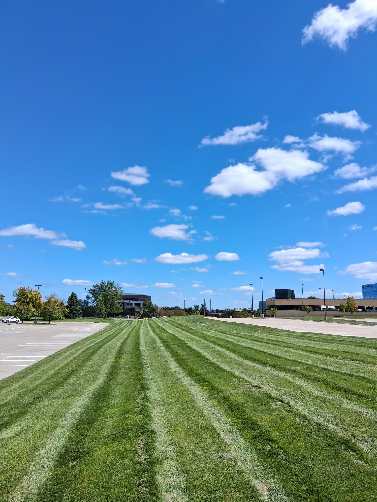 Green Horizon Lawn & Landscape Lawn Care Service