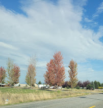 Gallery photo for Three Trees Landscaping Inc in Post Falls, ID