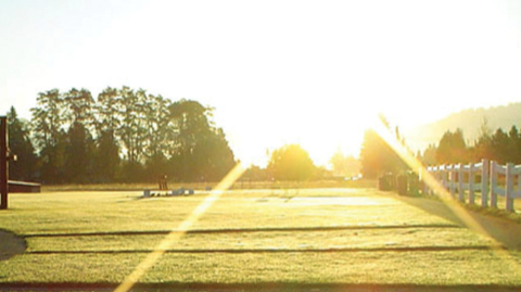 Alpine Landscape & Maintenance Lawn Care Service in Post Falls, ID photo