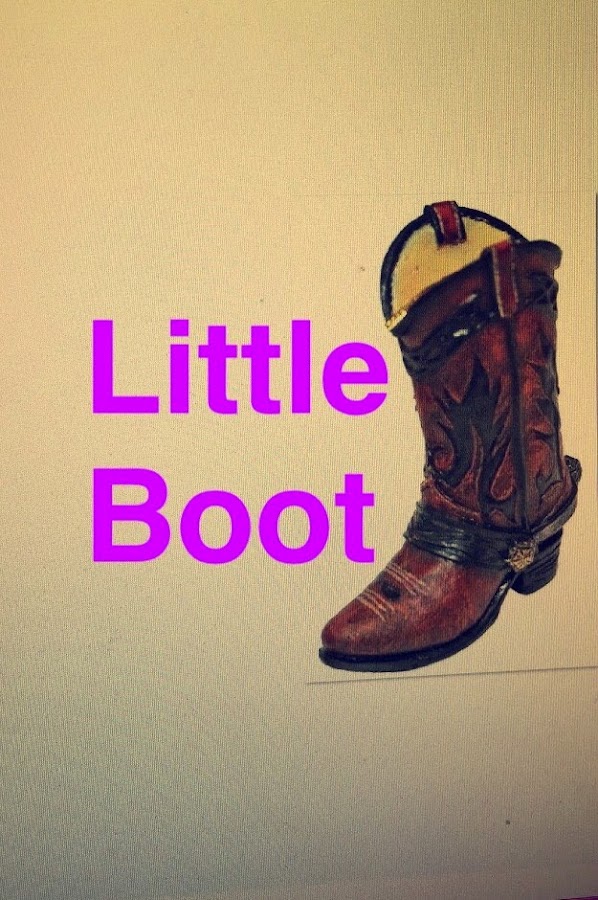 Little Boot Electrician in Longmont, CO photo