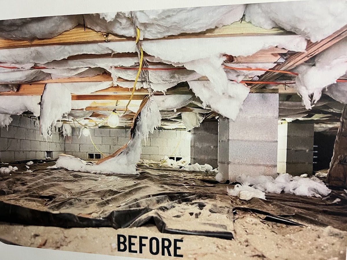 Mr. Hernandez Crawlspace crawlspace repair &waterproofing Plumber in Trinity, AL photo