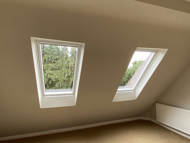 Skylight Services Contractor in Reigate Rh2 9He photo