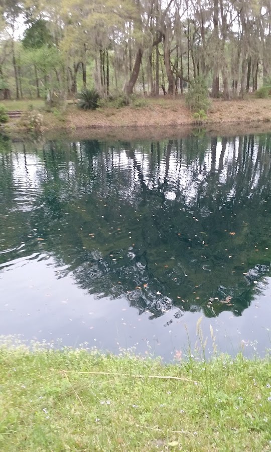 Arthur's Irrigation Landscaping in Lady's Island, SC photo