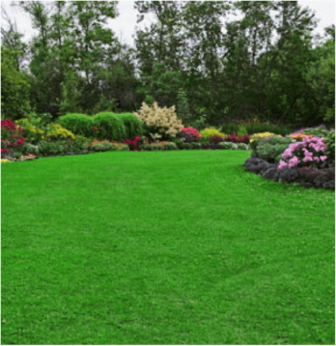 Planting Roots Hydroseeding, LLC Contractor in Beaufort, SC photo