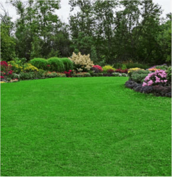 Gallery photo for Planting Roots Hydroseeding, LLC in Beaufort, SC