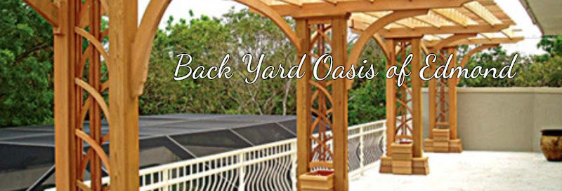 Backyard Oasis of Edmond Contractor in Edmond, OK photo