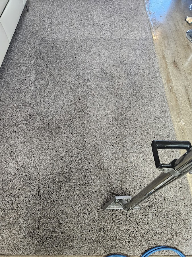 Wow thats clean carpet cleaning & janitorial arts local service