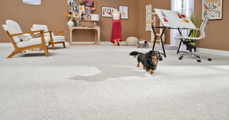 Gallery photo for Steamway Floor to Ceiling in Greeley, CO