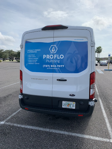 ProFlo Plumbing Plumber in St. Petersburg, FL photo