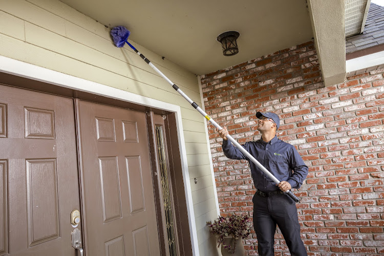 Bug Out - Bug Out Pest control service in Raleigh, North Carolina photo