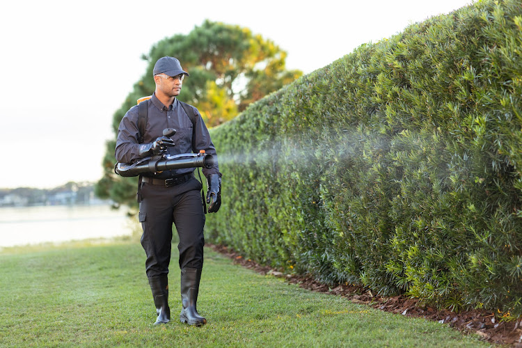 Bug Out Pest control service in Raleigh, North Carolina gallery photo