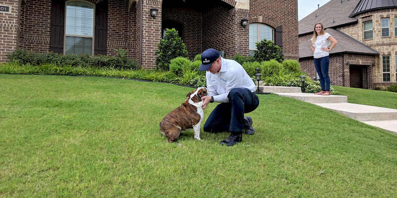Moxie Pest Control Pest control service in Raleigh, North Carolina gallery photo