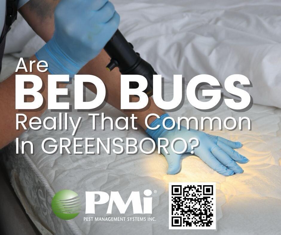 Pest Management Systems, Inc. gallery photo