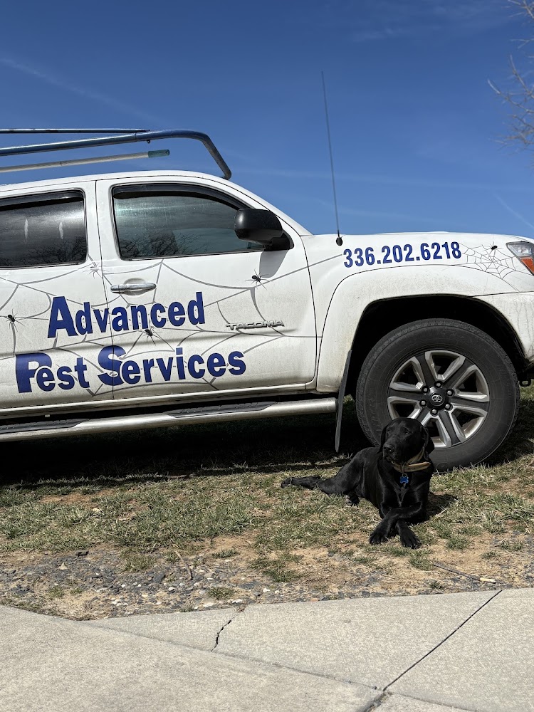 Advanced Pest Services gallery photo