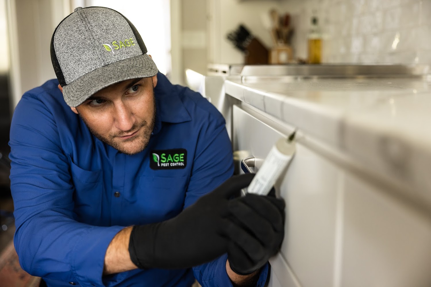Sage Pest Control gallery photo