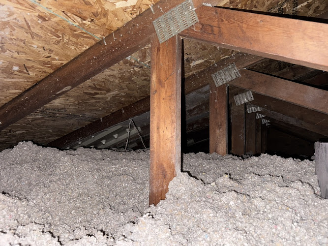 Griffin Pest Solutions, Inc. Pest Control Service in Taylor, MI photo