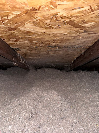 Gallery photo for Griffin Pest Solutions, Inc., Pest Control Service in Taylor, MI