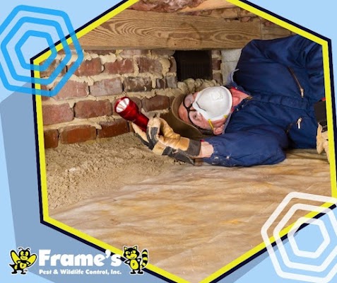 Frame's Pest Control, Inc. gallery photo