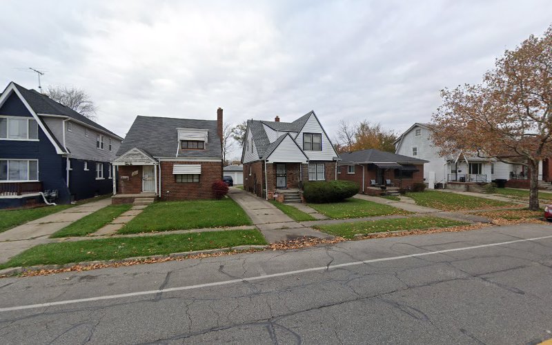 Motor City Pest Control Pest Control Service in Detroit, MI photo